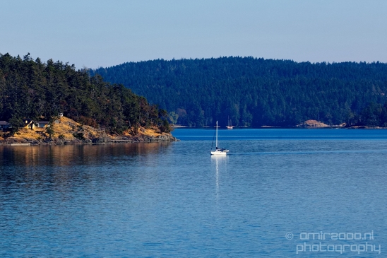 Vancouver_Island_nature_landsacpe_British_Columbia_Canada_Usa_Photography_175_Canon_EOS_5D_Mark_IV.JPG