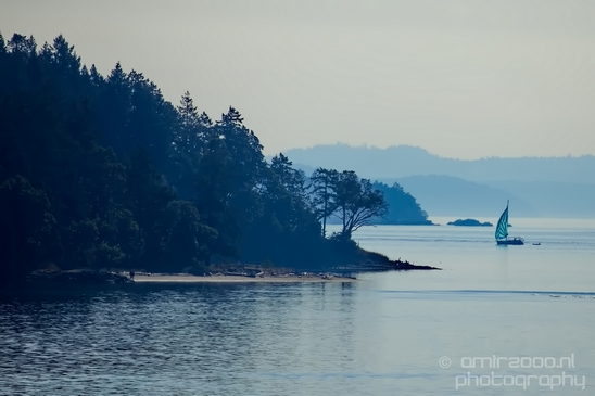Vancouver_Island_nature_landsacpe_British_Columbia_Canada_Usa_Photography_180_Canon_EOS_5D_Mark_IV.JPG