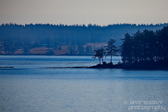 Vancouver_Island_nature_landsacpe_British_Columbia_Canada_Usa_Photography_182_Canon_EOS_5D_Mark_IV.JPG