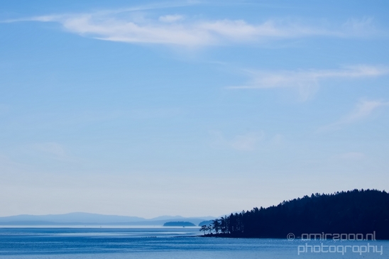 Vancouver_Island_nature_landsacpe_British_Columbia_Canada_Usa_Photography_183_Canon_EOS_5D_Mark_IV.JPG