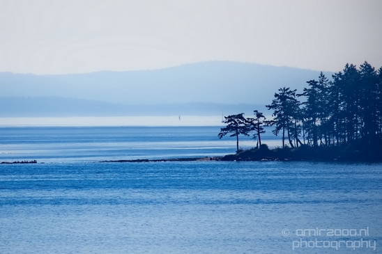 Vancouver_Island_nature_landsacpe_British_Columbia_Canada_Usa_Photography_185_Canon_EOS_5D_Mark_IV.JPG