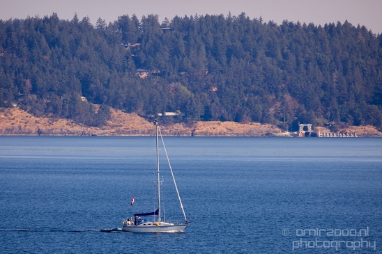 Vancouver_Island_nature_landsacpe_British_Columbia_Canada_Usa_Photography_189_Canon_EOS_5D_Mark_IV.JPG
