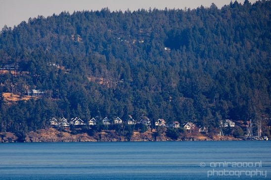 Vancouver_Island_nature_landsacpe_British_Columbia_Canada_Usa_Photography_191_Canon_EOS_5D_Mark_IV.JPG
