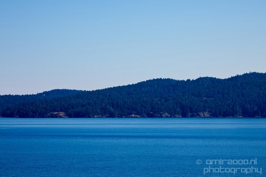 Vancouver_Island_nature_landsacpe_British_Columbia_Canada_Usa_Photography_192_Canon_EOS_5D_Mark_IV.JPG