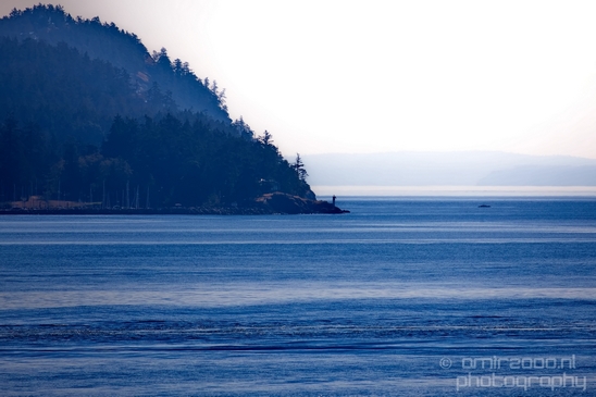 Vancouver_Island_nature_landsacpe_British_Columbia_Canada_Usa_Photography_194_Canon_EOS_5D_Mark_IV.JPG