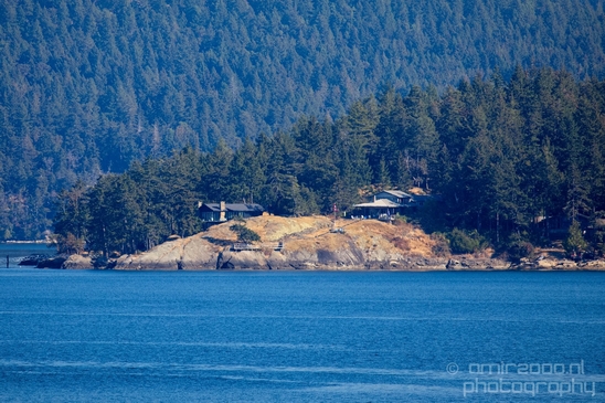 Vancouver_Island_nature_landsacpe_British_Columbia_Canada_Usa_Photography_195_Canon_EOS_5D_Mark_IV.JPG