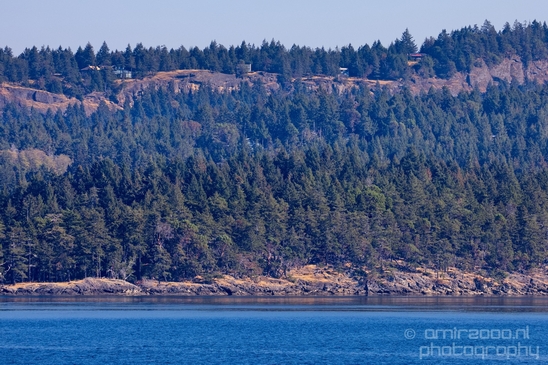 Vancouver_Island_nature_landsacpe_British_Columbia_Canada_Usa_Photography_197_Canon_EOS_5D_Mark_IV.JPG