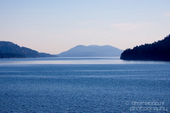 Vancouver_Island_nature_landsacpe_British_Columbia_Canada_Usa_Photography_198_Canon_EOS_5D_Mark_IV.JPG