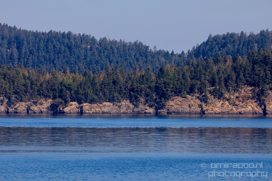 Vancouver_Island_nature_landsacpe_British_Columbia_Canada_Usa_Photography_199_Canon_EOS_5D_Mark_IV.JPG