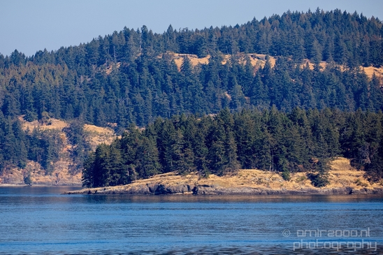 Vancouver_Island_nature_landsacpe_British_Columbia_Canada_Usa_Photography_201_Canon_EOS_5D_Mark_IV.JPG