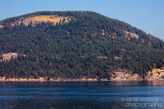 Vancouver_Island_nature_landsacpe_British_Columbia_Canada_Usa_Photography_202_Canon_EOS_5D_Mark_IV.JPG