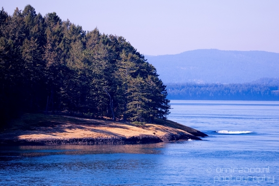 Vancouver_Island_nature_landsacpe_British_Columbia_Canada_Usa_Photography_208_Canon_EOS_5D_Mark_IV.JPG