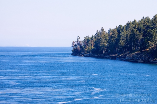 Vancouver_Island_nature_landsacpe_British_Columbia_Canada_Usa_Photography_209_Canon_EOS_5D_Mark_IV.JPG