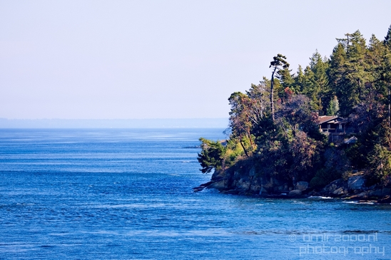 Vancouver_Island_nature_landsacpe_British_Columbia_Canada_Usa_Photography_210_Canon_EOS_5D_Mark_IV.JPG