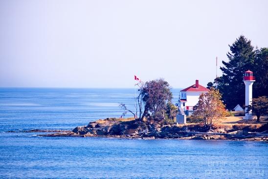 Vancouver_Island_nature_landsacpe_British_Columbia_Canada_Usa_Photography_211_Canon_EOS_5D_Mark_IV.JPG