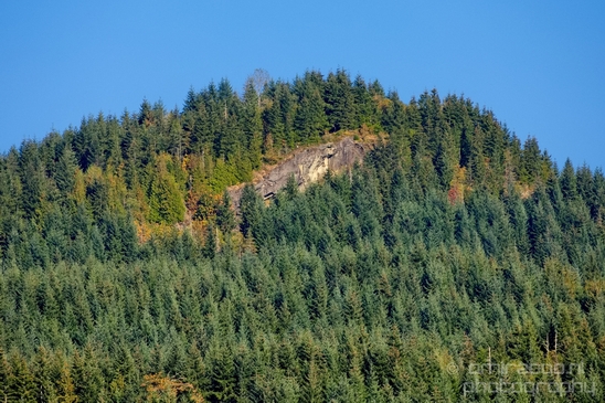 Washington_state_nature_landscape_USA_Photography_007_Canon_EOS_5D_Mark_IV.JPG