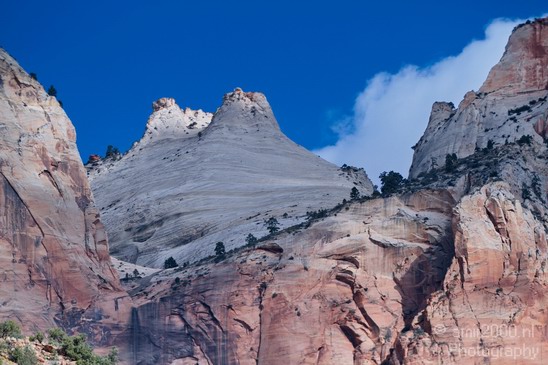 Zion_National_Park_Utah_Usa_Nature_Photography_016_Canon_EOS_7D.JPG