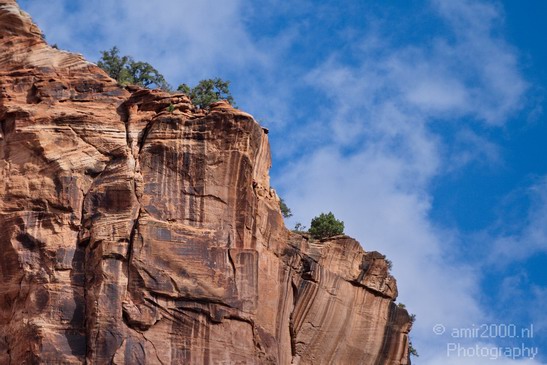 Zion_National_Park_Utah_Usa_Nature_Photography_023_Canon_EOS_7D.JPG