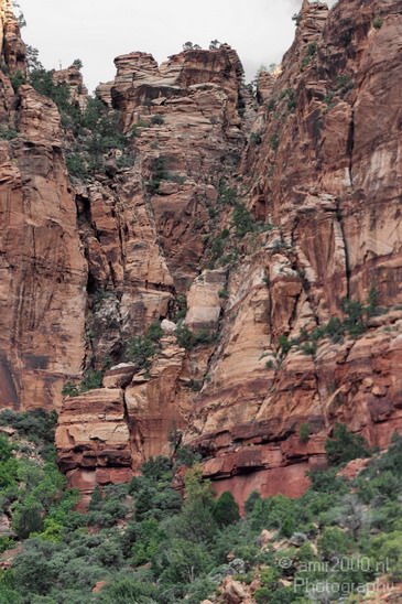 Zion_National_Park_Utah_Usa_Nature_Photography_024_Canon_EOS_7D.JPG
