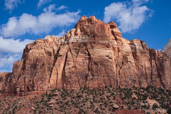 Zion_National_Park_Utah_Usa_Nature_Photography_028_Canon_EOS_7D.JPG