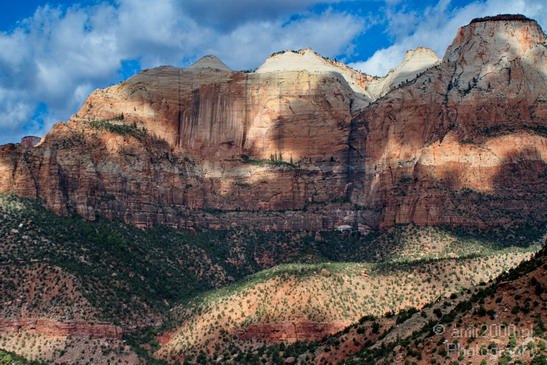 Zion_National_Park_Utah_Usa_Nature_Photography_034_Canon_EOS_7D.JPG