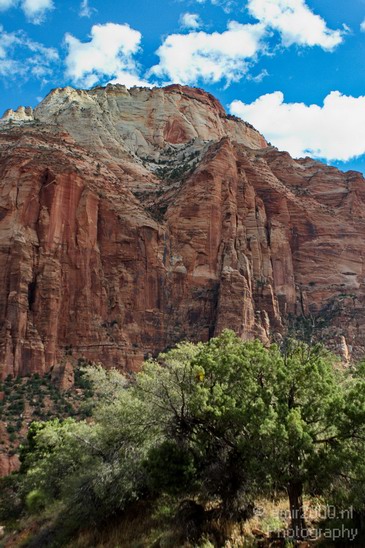 Zion_National_Park_Utah_Usa_Nature_Photography_035_Canon_EOS_7D.JPG