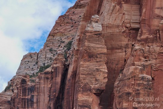 Zion_National_Park_Utah_Usa_Nature_Photography_039_Canon_EOS_7D.JPG