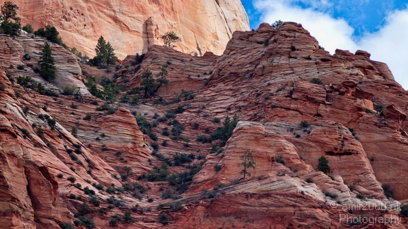 Zion_National_Park_Utah_Usa_Nature_Photography_042_Canon_EOS_7D.JPG