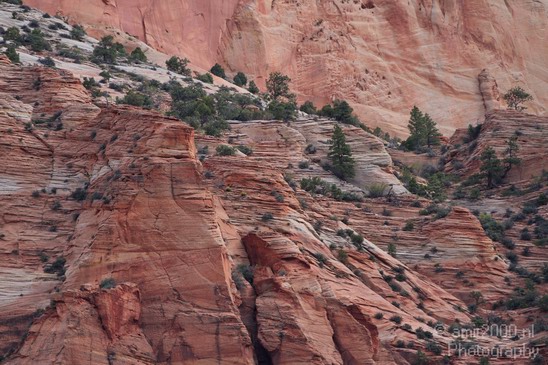 Zion_National_Park_Utah_Usa_Nature_Photography_044_Canon_EOS_7D.JPG