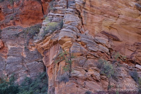 Zion_National_Park_Utah_Usa_Nature_Photography_078_Canon_EOS_7D.JPG
