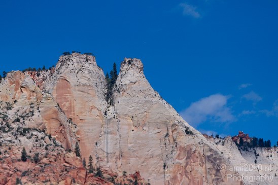 Zion_National_Park_Utah_Usa_Nature_Photography_081_Canon_EOS_7D.JPG