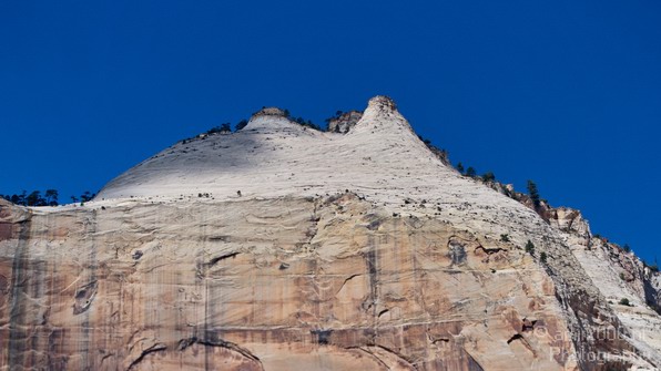 Zion_National_Park_Utah_Usa_Nature_Photography_084_Canon_EOS_7D.JPG