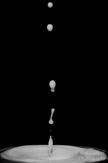 Water_Droplet_Macro_milk_Photography_010_Canon_EOS_5D_Mark_IV.JPG