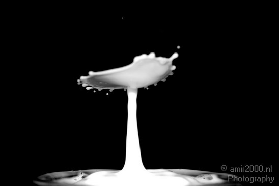 Water_Droplet_Macro_milk_Photography_013_Canon_EOS_5D_Mark_IV.JPG