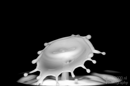 Water_Droplet_Macro_milk_Photography_023_Canon_EOS_5D_Mark_IV.JPG