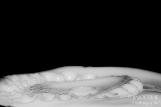 Water_Droplet_Macro_milk_Photography_030_Canon_EOS_5D_Mark_IV.JPG
