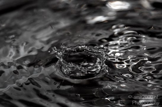 Water_Drops_004.JPG
