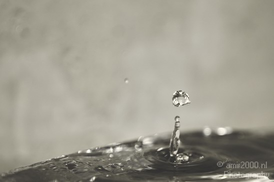 Water_Drops_Macro_Photography_008_Canon_EOS_5D_Mark_IV.JPG