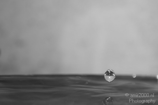 Water_Drops_Macro_Photography_009_Canon_EOS_5D_Mark_IV.JPG