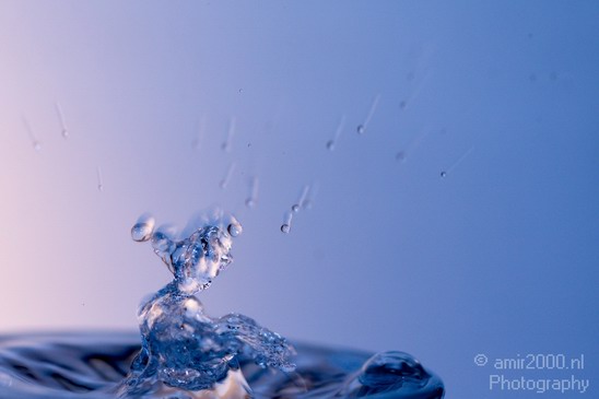 Water_Drops_Macro_Photography_013_Canon_EOS_5D_Mark_IV.JPG