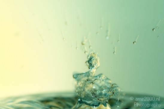 Water_Drops_Macro_Photography_014_Canon_EOS_5D_Mark_IV.JPG