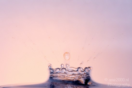 Water_Drops_Macro_Photography_023_Canon_EOS_5D_Mark_IV.JPG