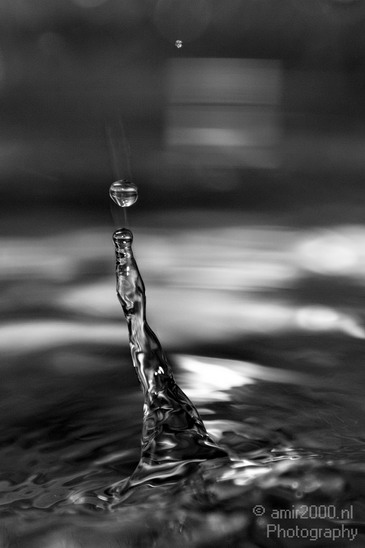 Water_Drops_Photography_045_Canon_EOS_7D.JPG