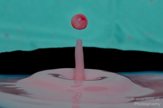 Water_and_milk_drops_droplet_macro_Photography_001_Canon_EOS_5D_Mark_IV.JPG