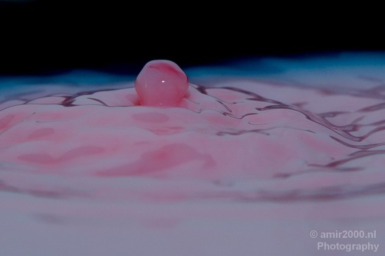Water_and_milk_drops_droplet_macro_Photography_002_Canon_EOS_5D_Mark_IV.JPG