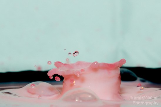 Water_and_milk_drops_droplet_macro_Photography_009_Canon_EOS_5D_Mark_IV.JPG