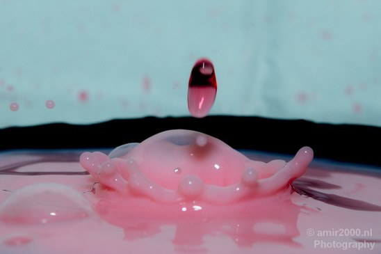 Water_and_milk_drops_droplet_macro_Photography_013_Canon_EOS_5D_Mark_IV.JPG