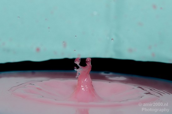 Water_and_milk_drops_droplet_macro_Photography_018_Canon_EOS_5D_Mark_IV.JPG