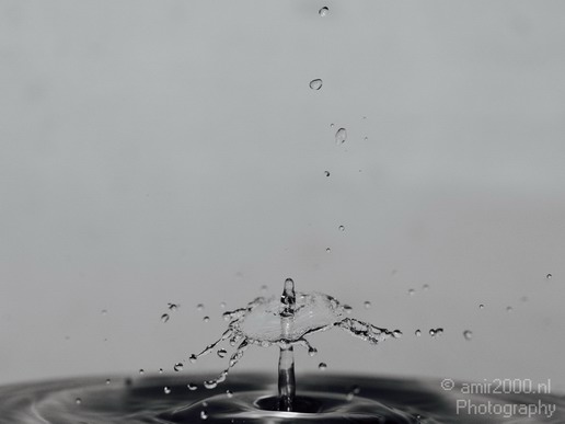 Water_drops_droplet_macro_Photography_002_Canon_EOS_5D_Mark_IV.JPG
