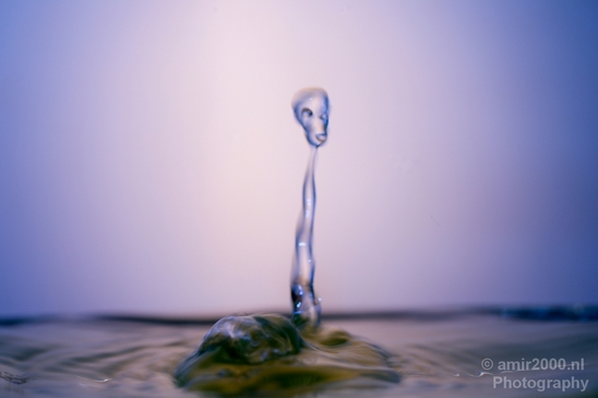 Water_drops_droplet_macro_experiment_Photography_019_Canon_EOS_5D_Mark_IV.JPG
